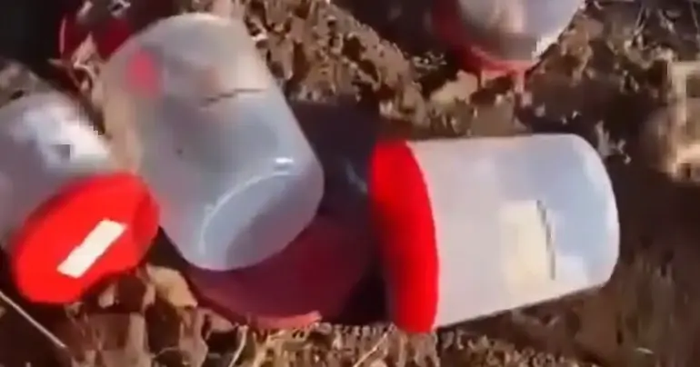Mezarlıkta dehşete düşüren olay