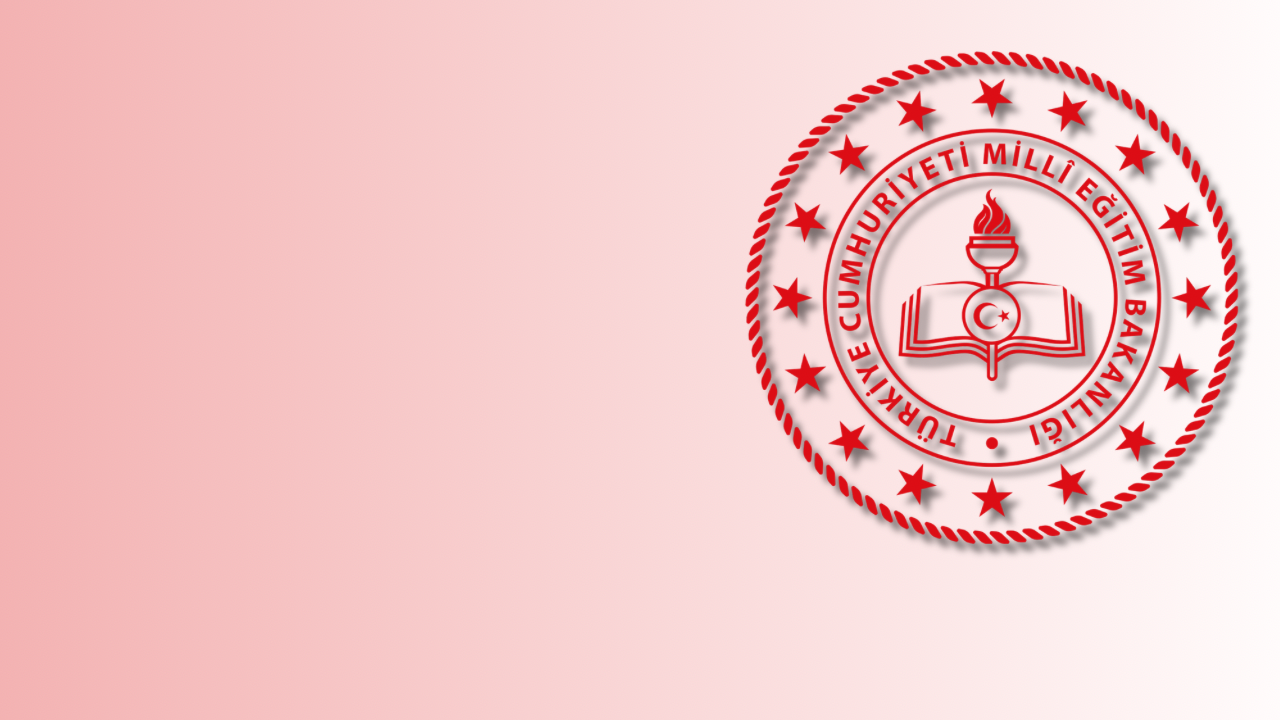 Milli Eğitim Bakan yardımcısı görevinden alındı